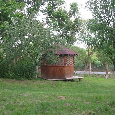 Kалиновий Kущ Dmitrenki Kültér fotó